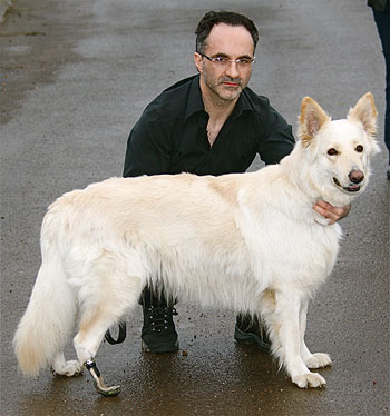 Mitzi and Noel Fitzpatrick