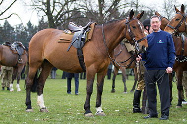 Nick White & World Horse Welfare Penny