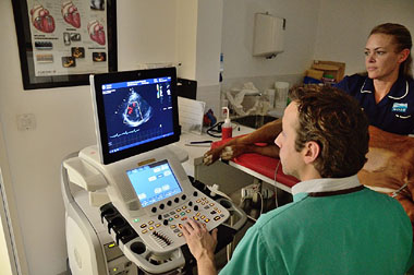 Vets in front of scanner