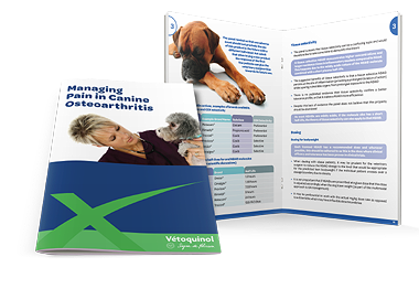 Picture shows the Managing Pain in Canine Osteoarthritis Booklet