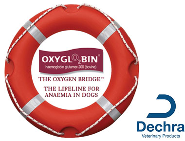 Oxyglobin relaunched by Dechra Veterinary Products
