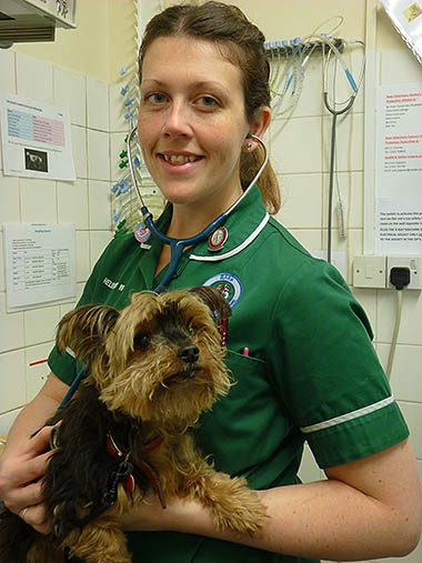 Helen Molyneux RVN holding a dog