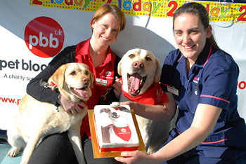 Jenny Walton, PBBuk veterinary supervisor (left), and Rachel Smith, Vet4Pets partner and veterinary nurse (right) checking over blood donor, Bramble, at Vets4Pets, Fulwell, Sunderland.