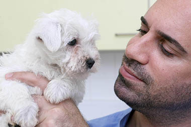 TV’s Marc Abraham creator of the PupAid petition