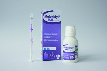 Pack MELOXIDYL Cat
