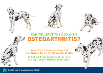 Prev Practice Poster