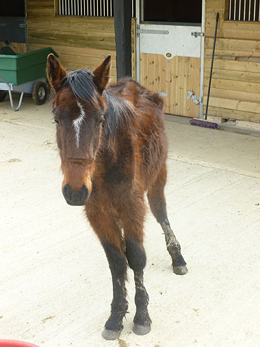 Quest after admission 22.03.12