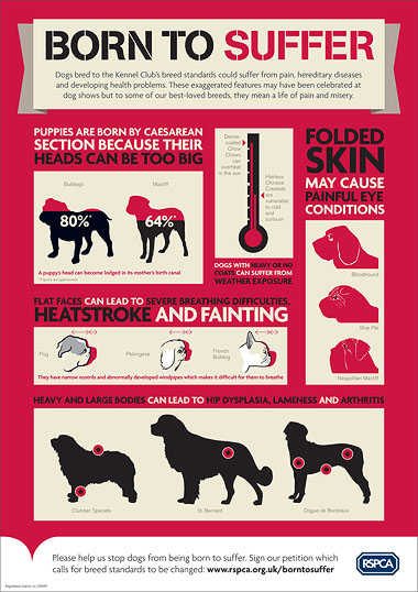 RSPCA Born To Suffer Poster