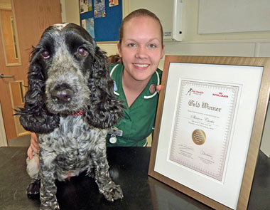 Sharon Curtis and Sweep