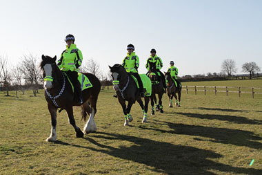 Photo of officers training on horseback