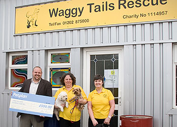 Spencer Jones, Petplan Business Developer with Shelagh Meredith Waggy Tails Manager and staff