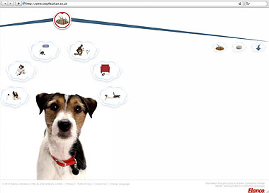 Stop Fleas Fast screenshot