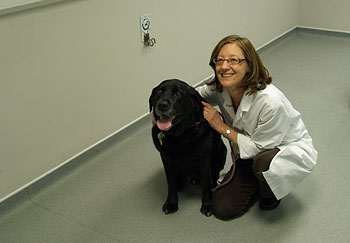 Dr Susan North and Luke at VRCC - the first patient in the UK to receive the Canine Melanoma Vaccine
