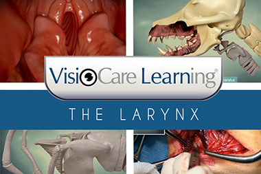 THE LARYNX home screen