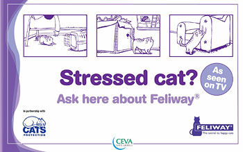 Example of merchandising material