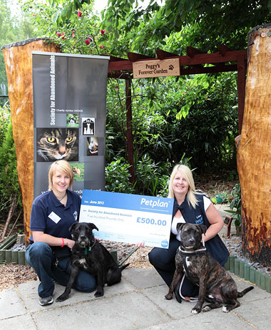 The Society for Abandoned Animals Charity Cheque