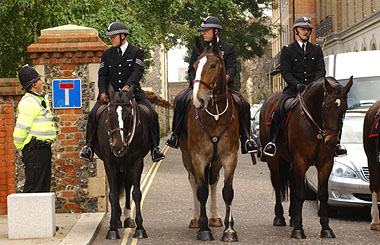 Photo of Titan outside Reading Crown Court (he is the horse in the middle, towering over the other two police horses!)