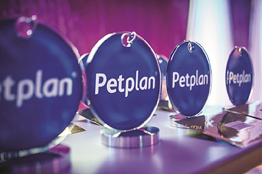 Row of awards trophies