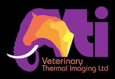 VTI logo