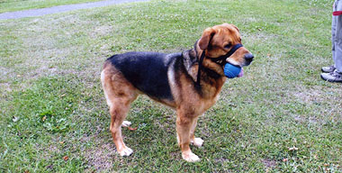 WINNER Fudge after losing 29kg