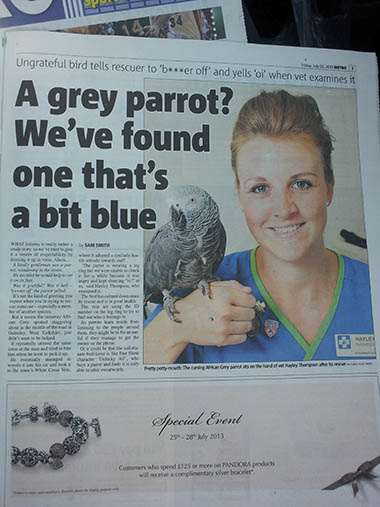 White Cross Vets Metro newspaper clipping