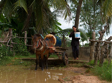 Working horse collecting water