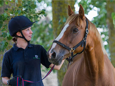 Close up photo of horse and rider