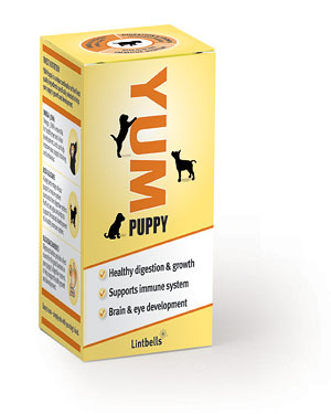 YUM Puppy Box pack shot
