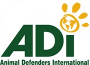 ADI logo