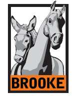 Brooke logo
