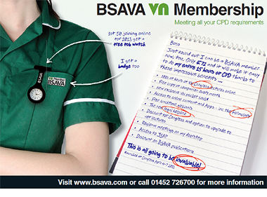 BSAVA VN Advert