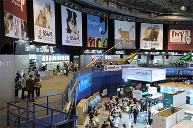 Lots to do and see in the exhibtion