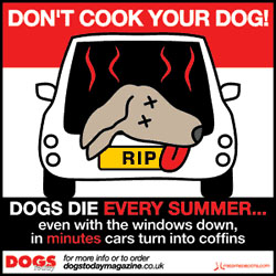 Don't cook your dog poster