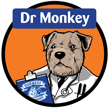 Dr Monkey logo