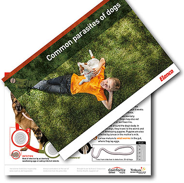 Photo of new booklet