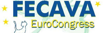 FECAVA 2013 banner
