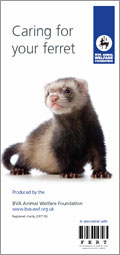 BVA Ferret Leaflet