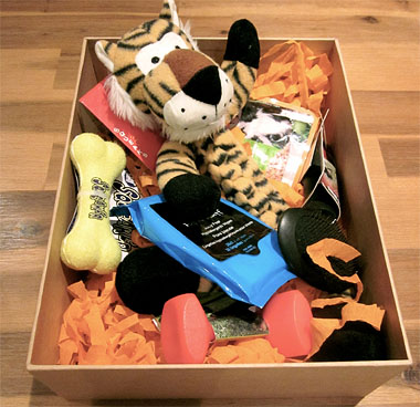 Fings For Fido goodie box
