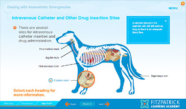 Screen grab from VN CPD Elearning module