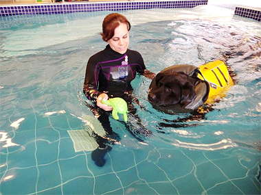 Photo of dog swimming in pool with vet