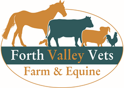 Forth Valley Vets logo