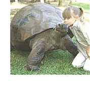 harriet-the-tortoise.gif
