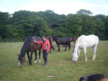 Photo from an Intuitive Horse session, showing woman touching a horse in a field