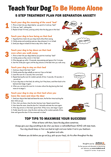 Teach your dog to be home alone poster