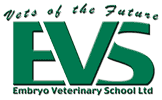 Embryo Veterinary School