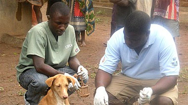Vets at LSPCA