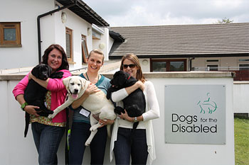 Photograph (left to right) Christine Male, Assistant Product Manager with ‘Nemo’; Rachel Ballantyne, Technical Manager, FRONTLINE® with ‘Dudley’ and Elizabeth Fox, Brand Manager, FRONTLINE® with ‘Nala’.