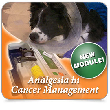 Oncology Module graphic