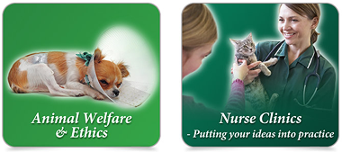 Course advert graphics x 2