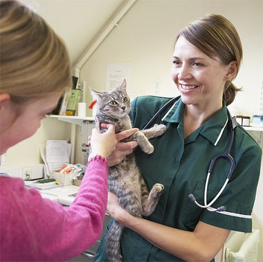 Vet nurse and cat